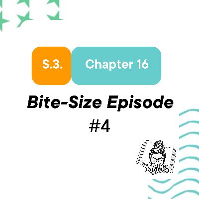 S.3. Chapter 16. Bite-Size Episode #4