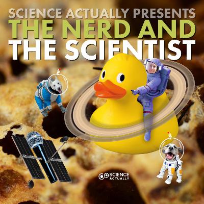 Two Bee Or Not Two Bee : Guest : Sarah Aamidor