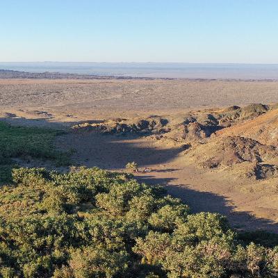 Wind In The Reeds, Shar Khuls Oasis, Great Gobi National Park, Mongolia. (15 min)
