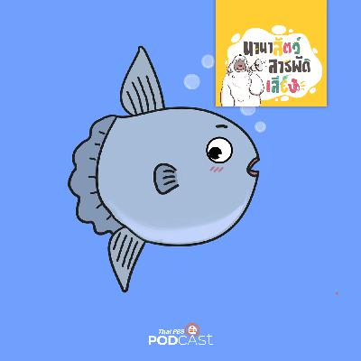 นานาสัตว์สารพัดเสียง EP. 206: ปลาโมลาโมลา ทำไมได้ชื่อว่า SUNFISH นานาสัตว์สารพัดเสียง EP. 206: ปลาโมลาโมลา ทำไมได้ชื่อว่า SUNFISH