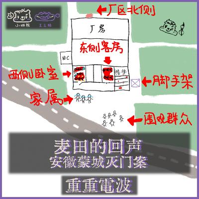 E55.麦田的回声：安徽蒙城灭门案