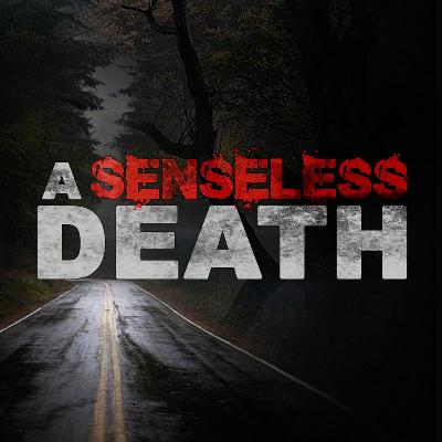 Episode 4: Zach's Story Episode 4: Zach's Story