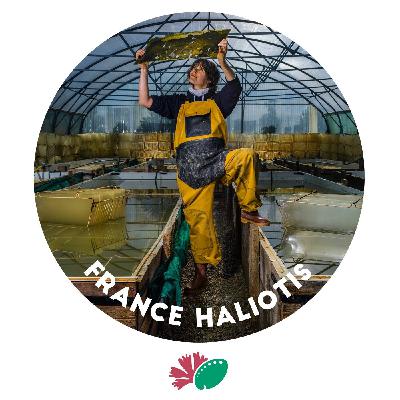 Les pieds sur terre, les mains dans l'eau Les pieds sur terre, les mains dans l'eau