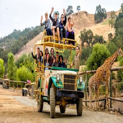 Safari de diamantes