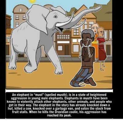Elephant sokam