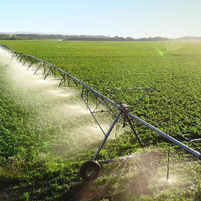 Using Wisconsin Water Wisely