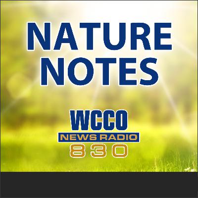 Jim Gilbert Returns with Nature Notes Jim Gilbert Returns with Nature Notes