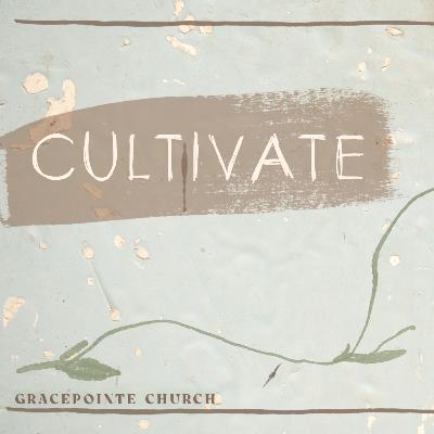 Cultivate: Preparing the Soil