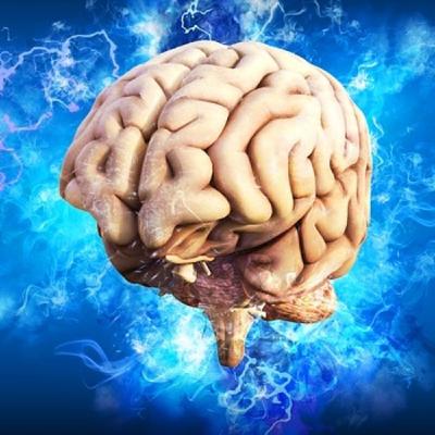 Filosofía y cerebro: El secreto de la memoria y los sesgos cognitivos. Philos Sophia.
