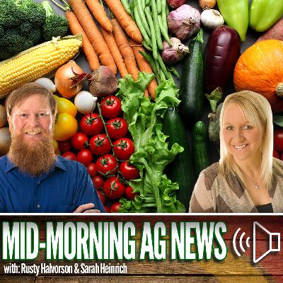 Mid-morning Ag News, October 7, 2025: Pumpkin doesn't have to be just a fall season food