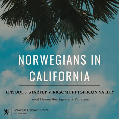 Alexander Bergo: Entrepreneurship in Silicon Valley
