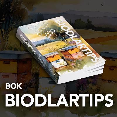 Bok: kap. 78 - Hur bin påverkas av väder
