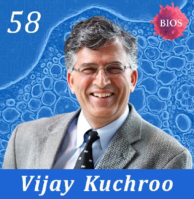 58. Frontier of Immunology w/ Vijay Kuchroo - Professor @ Harvard