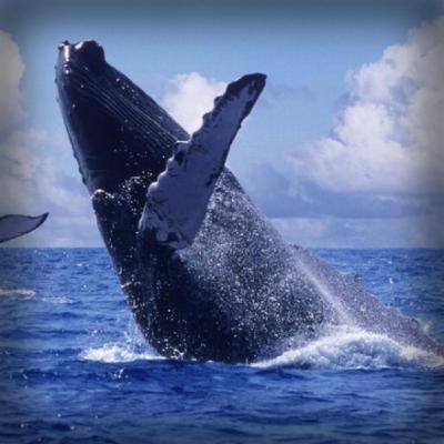 La otra cara del turismo en el Pacífico colombiano