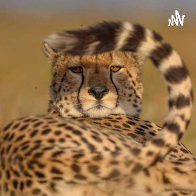 YOUNG PHARAOH SAYS HE WANTS TO KICK IN THE DOOR AND SHOOT EVERYBODY IN THE CRIB!