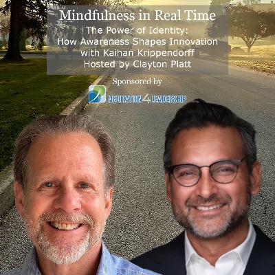 The Power of Identity: How Awareness Shapes Innovation with Kaihan Krippendorff