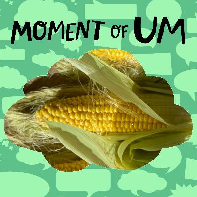 Why does corn have hairs on it?