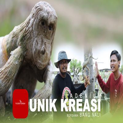 Adenium Unik Kreasi