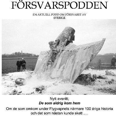 De som aldrig kom hem De som aldrig kom hem