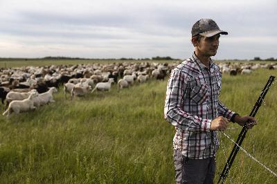 Regenerative farming practices require unlearning past advice