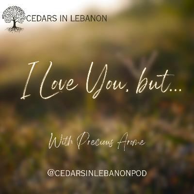 I Love You, but... | C1E24