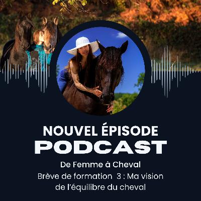 De Femme à Cheval - Brève de formation 3 : Ma vision de l'équilibre du cheval De Femme à Cheval - Brève de formation 3 : Ma vision de l'équilibre du cheval