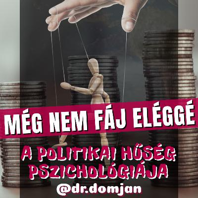 VI/11. Még nem fáj eléggé - a politikai hűség pszichológiája