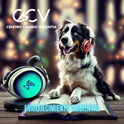 Entendiendo las Necesidades de tu Perro: Un Enfoque Ambiental