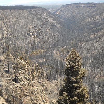 After the “Big One” part 2