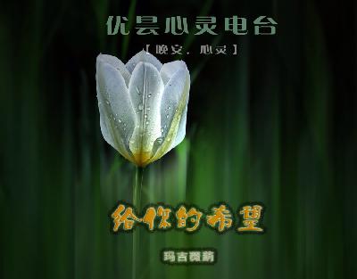 【安眠曲】给你的希望－[增田俊郎 · 花惑]