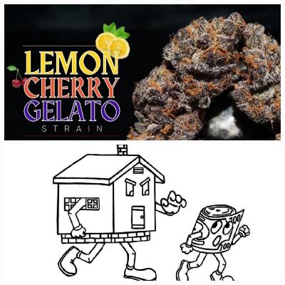 E P # 39 Lemon 🍋 cherry 🍒 Gelato