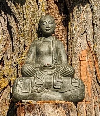 Trust in Pure Awareness, Ayya Nimmala