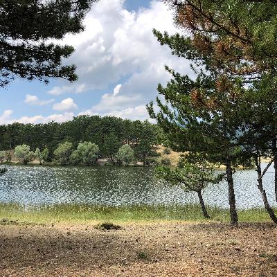 ludmilla petruşevskaya'nın evler, cinler, perdeler'i üzerine ludmilla petruşevskaya'nın evler, cinler, perdeler'i üzerine