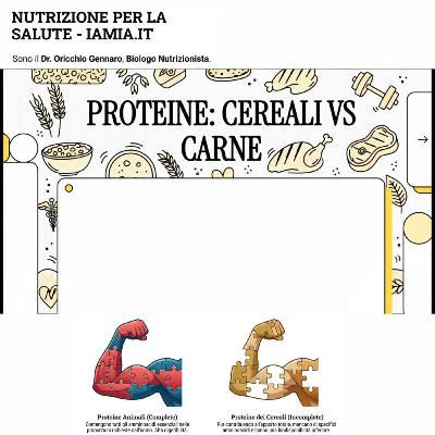 #031- 26 PROTEINE DEI CEREALI VS PROTEINE ANIMALI