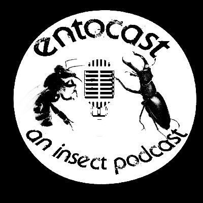 Insect Declines