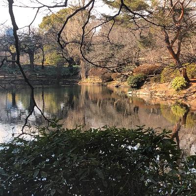 Nepali Podcast- Short story