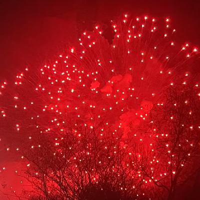 #39 返乡见闻：烟花放不停、短视频有功、生命只一次