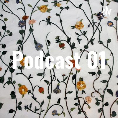 Podcast 01