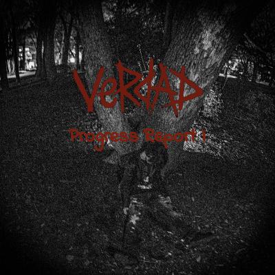 VeRdAD "Progress Report I"　セルフライナーノーツ