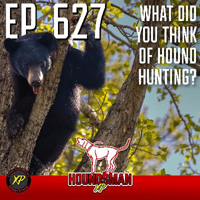 What Did You Think of Hound Hunting?!