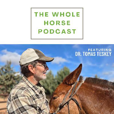 WH134 | A whole horse perspective on veterinary care with Dr. Tomas Teskey