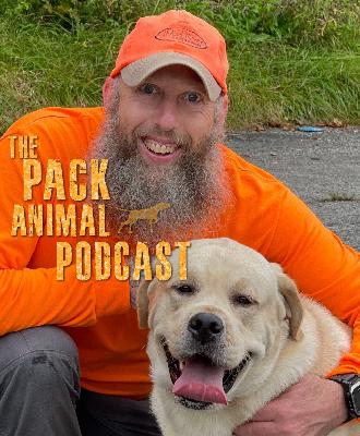 It's Q&A Time, December, 2021