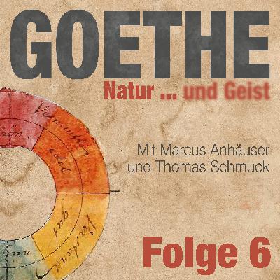 Goethes Meister und die Eiszeit
