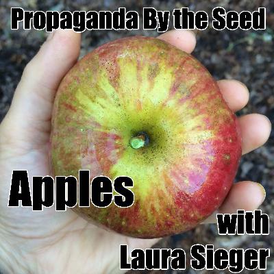 Apples with Laura Sieger Apples with Laura Sieger