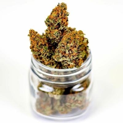 The Ultimate User's Guide To Cannabis Dosing The Ultimate User's Guide To Cannabis Dosing