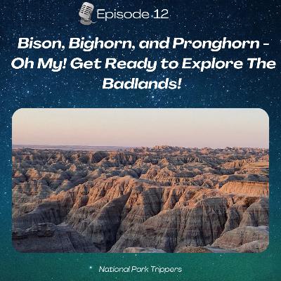 Episode 12: Bison, Bighorn, and Pronghorn - Oh My! Get Ready to Explore Badlands National Park! Episode 12: Bison, Bighorn, and Pronghorn - Oh My! Get Ready to Explore Badlands National Park!