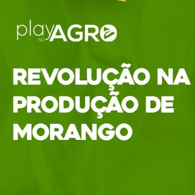 EP16 - REVOLUÇÃO NA PRODUÇÃO DE MORANGO EP16 - REVOLUÇÃO NA PRODUÇÃO DE MORANGO