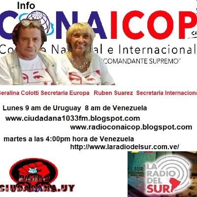 infoconaicop 11