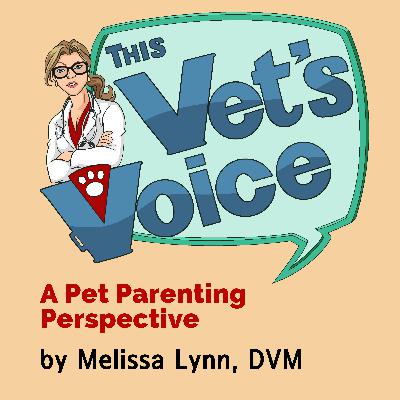 The First Visit Episode