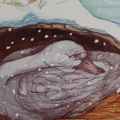 El Patito Feo El Patito Feo